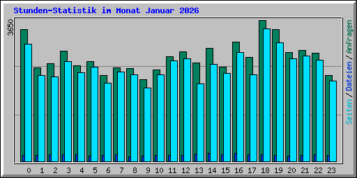 Stunden-Statistik im Monat Januar 2026