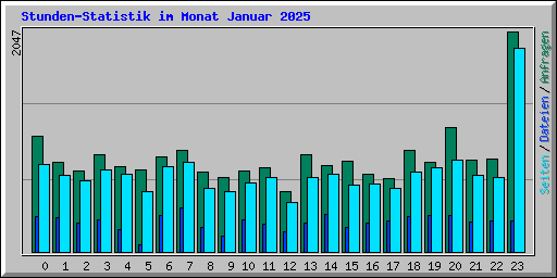 Stunden-Statistik im Monat Januar 2025
