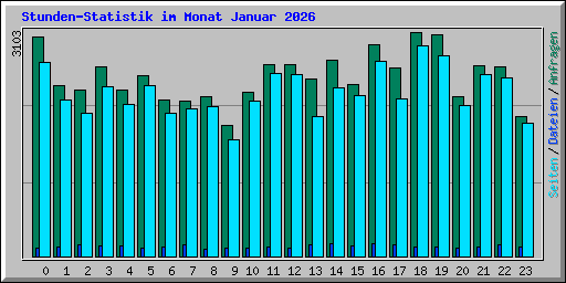 Stunden-Statistik im Monat Januar 2026